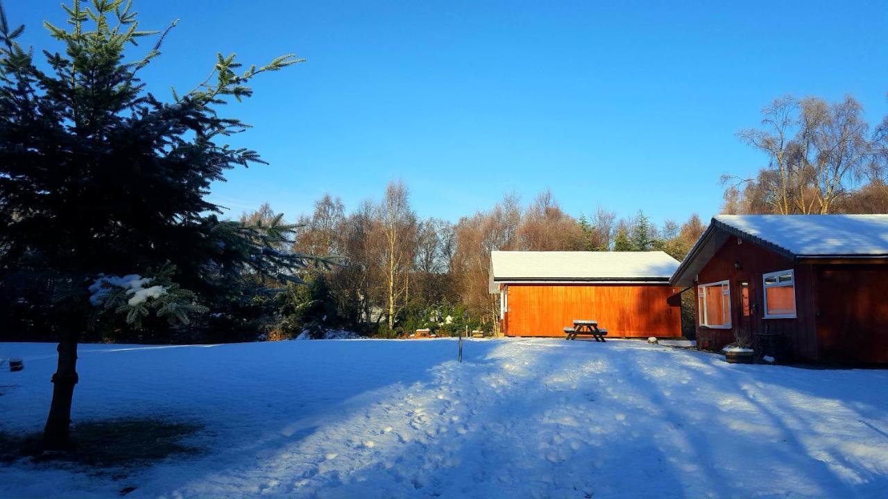 Torcroft Lodges Дръмнадрочит Екстериор снимка