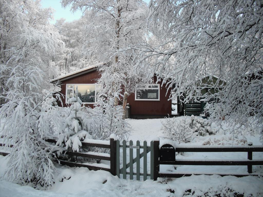 Torcroft Lodges Дръмнадрочит Стая снимка
